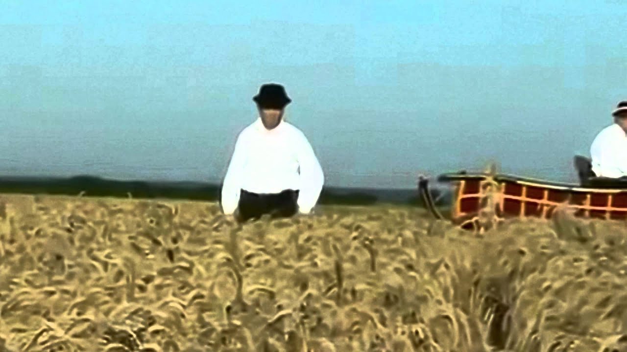 Željko Barba - Slavonska suza