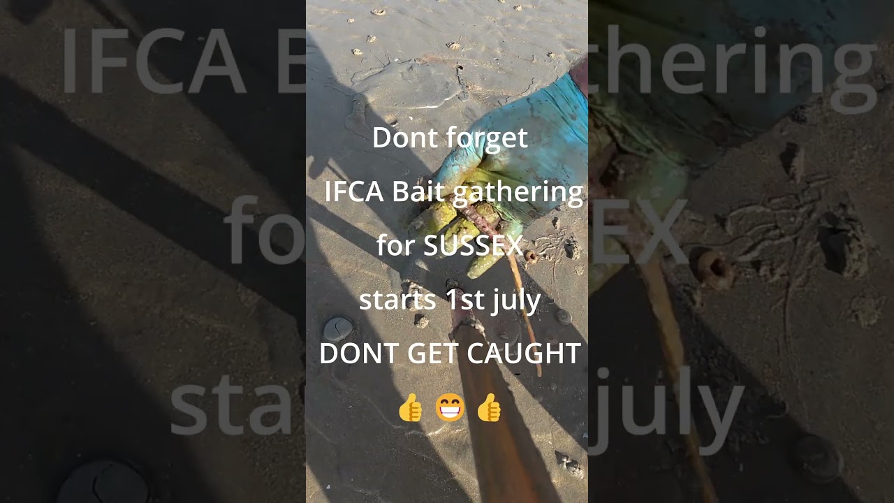Bait collecting in sussex beware IFCA Rules!!