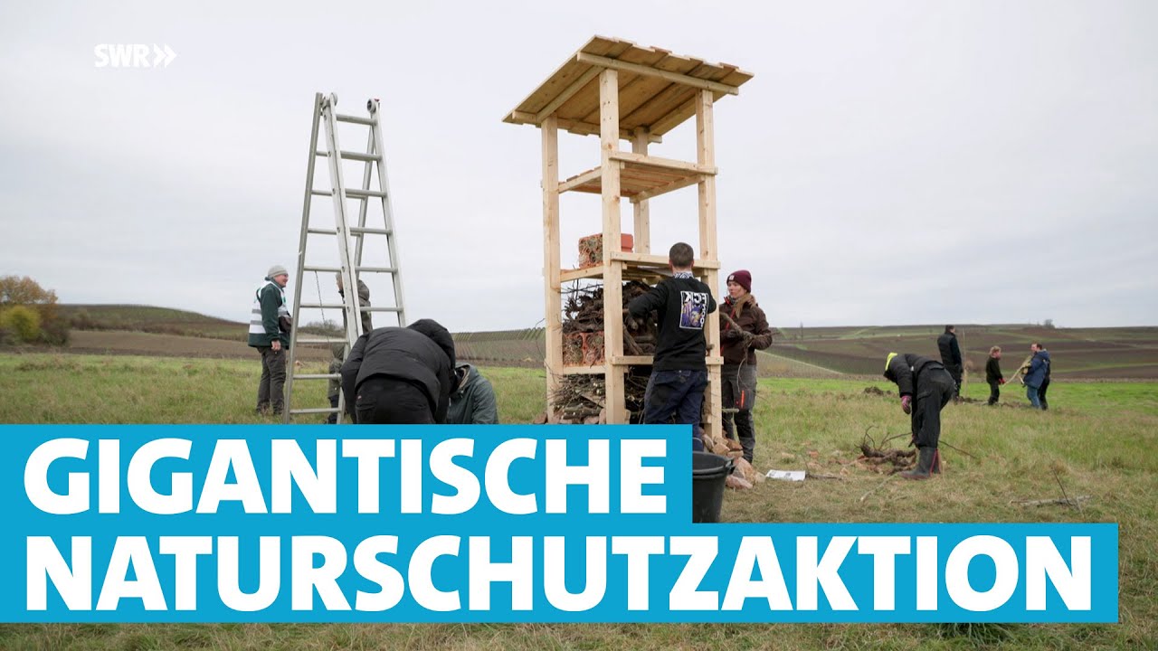 Riesige Naturschutzaktion! Neue Biotope für heimische Arten