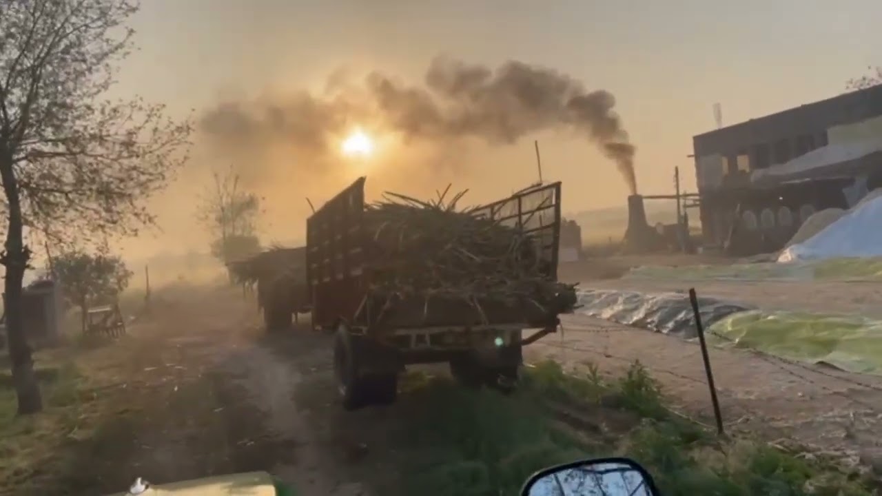 ਅੱਜ ਆਪਾਂ ਗੰਨਾ ਪੀੜਿਆ 
