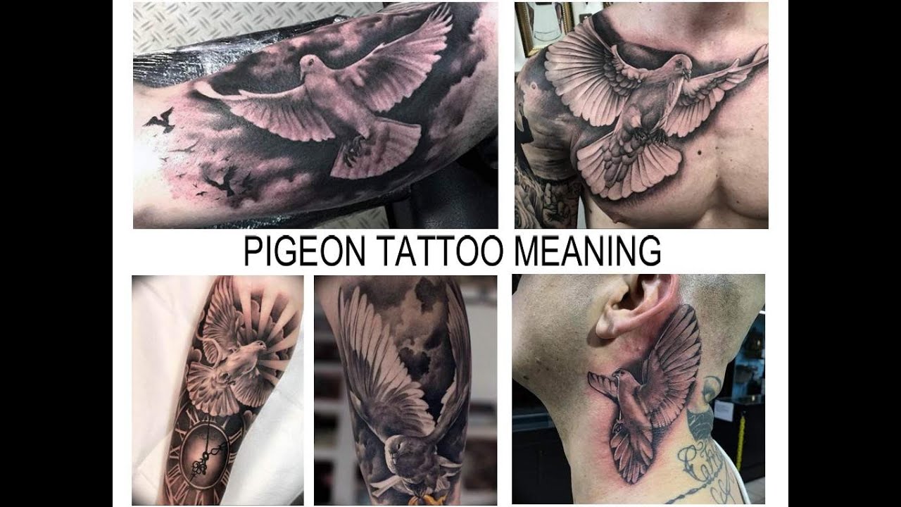 Pigeon tattoo meaning - Facts and photos of tattoo designs for tattoovalue.net