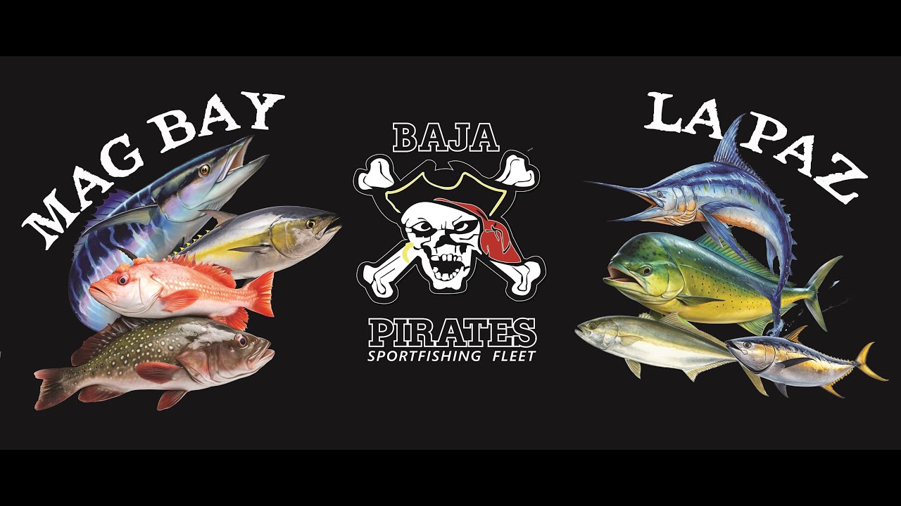 Welcome to Baja Pirates - La Paz & Mag Bay