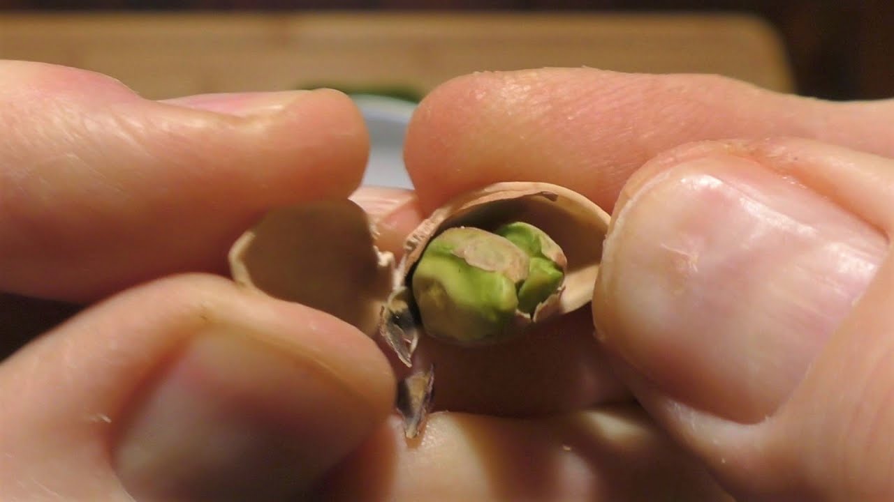ASMR: Eating Pistachios (No talking)