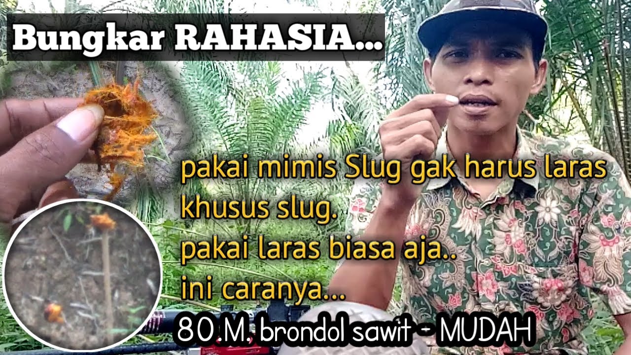 solusi laras biasa cocok pakai SLUG//ini caranya_98% BERHASIL//80.m brondol sawit~MUDAH