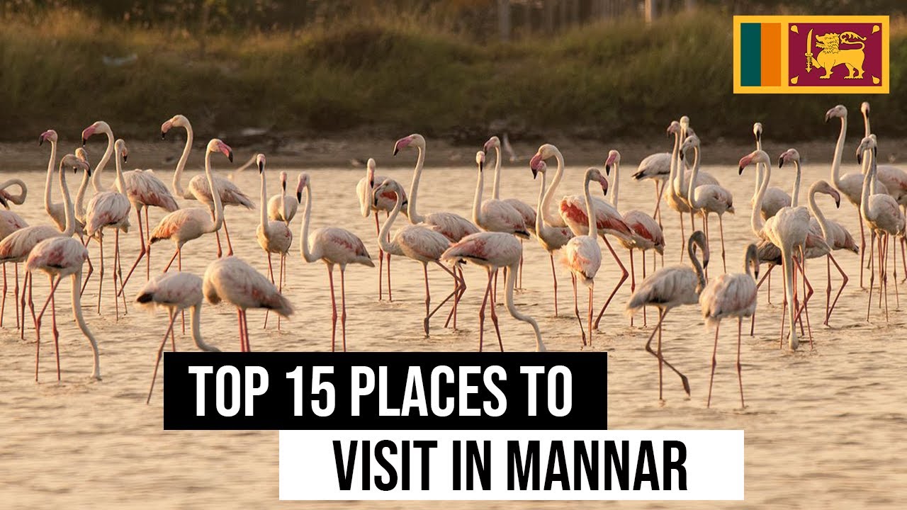 Top 15 places to visit in Mannar | Sunnysl Travels
