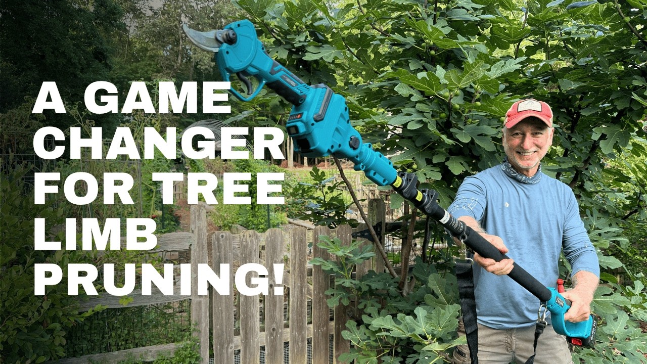 I Tested This Cordless Pole Pruner | Honest Tool Review of the SEESII 2-in-1 Pole Pruning Shears