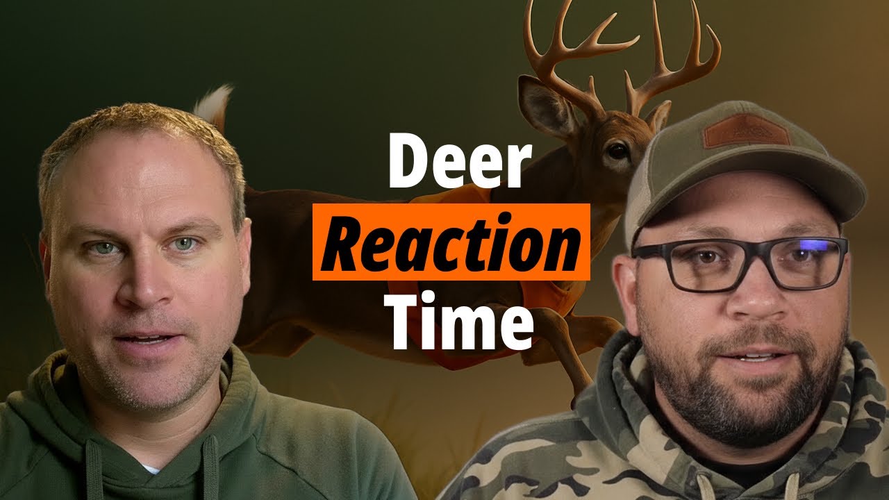 Deer's Keen Eye: Arrow in Flight?