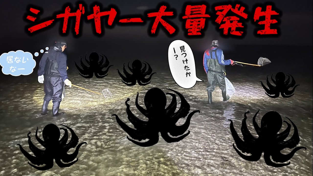 【沖縄イザリ】自己記録更新！夜の海に密漁にならないタコ大量発生！でーじなってる〜！