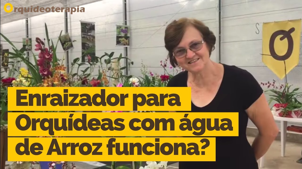 Enraizador para Orquídeas com Água de Arroz Funciona? Este vídeo explica! | Por Teresinha Kunz