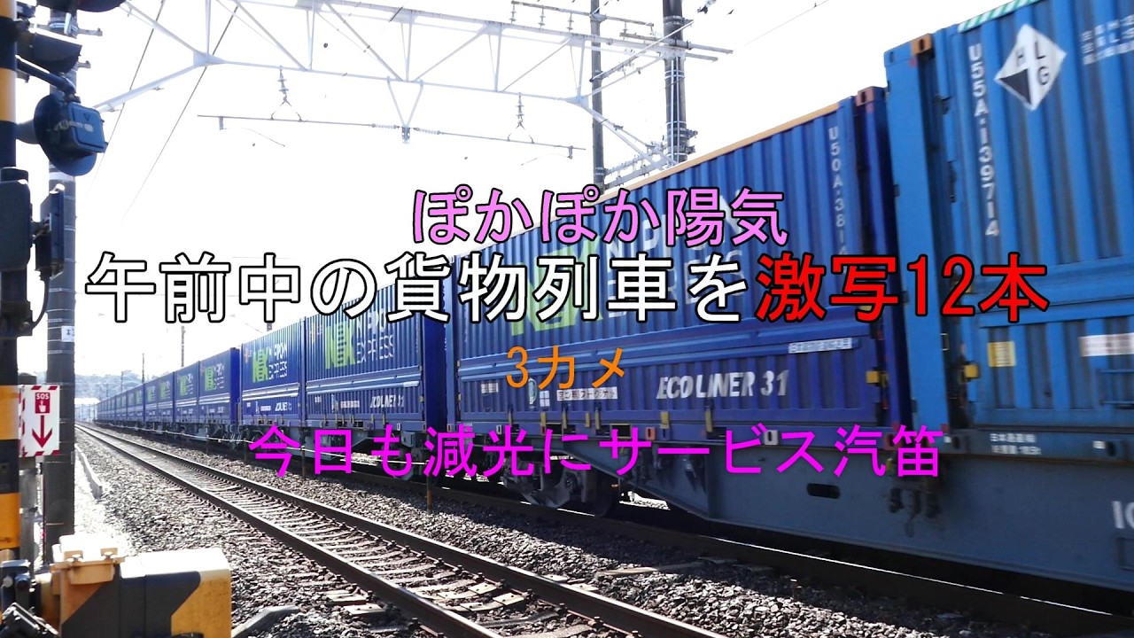 JR貨物 2026/02/21 静岡県西部ぽかぽか陽気の中 午前中離合場面ありに今日も減光にサービス汽笛 思う存分に3カメ貨物列車12本 東海道本線