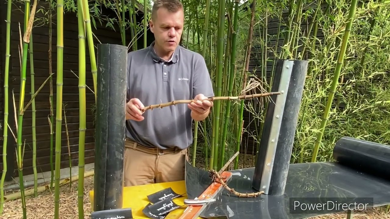Barrière anti rhizome : efficace ou non?