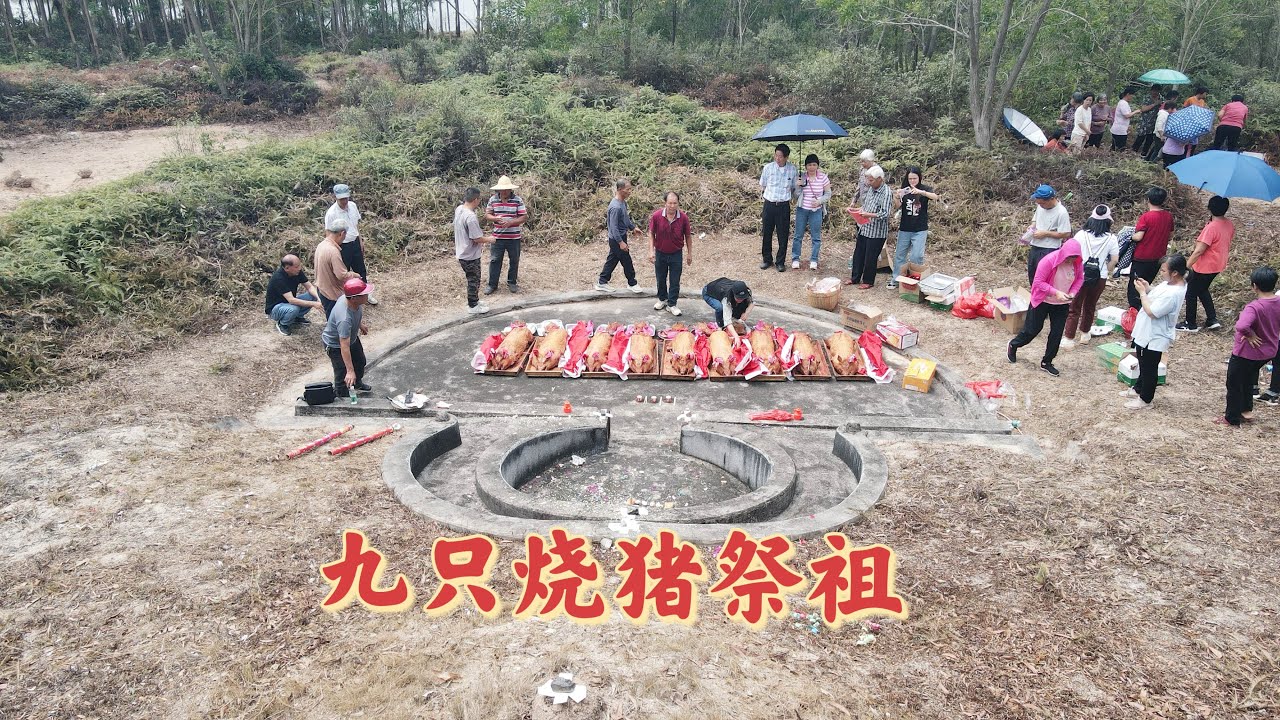 台山百曉：今日又到冲蒌鎮漢塘村，參加一位鄉里的祭祖活動，祝福大家一切順利，萬事如意，🌞🎉#台山 #toisan #taishan #taishanese #abc