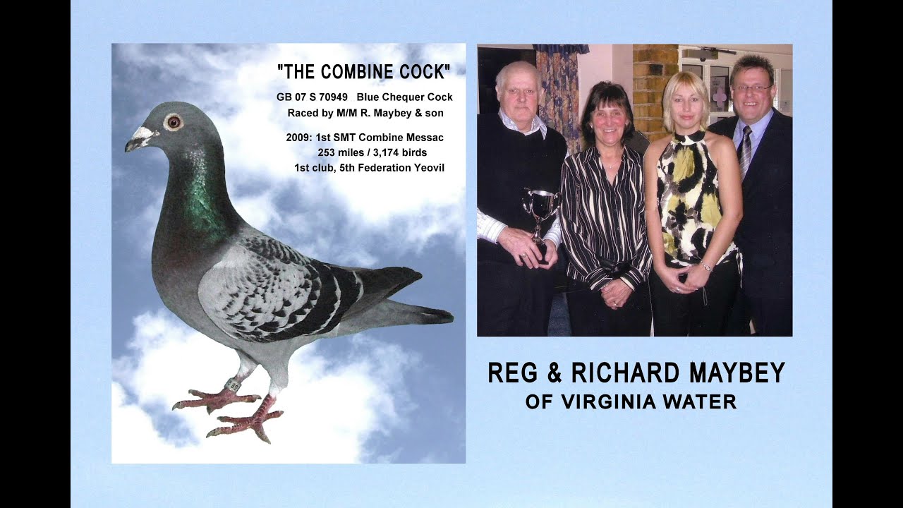 Video 499: Reg & Richard Maybey of Virginia Water: Eight times 1st Federation in one racing season