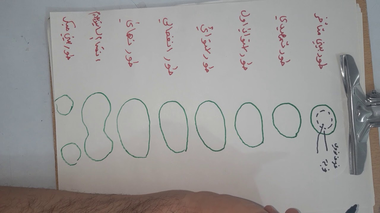 مواضيع متفرقة  رسم الانقسام الخيطي