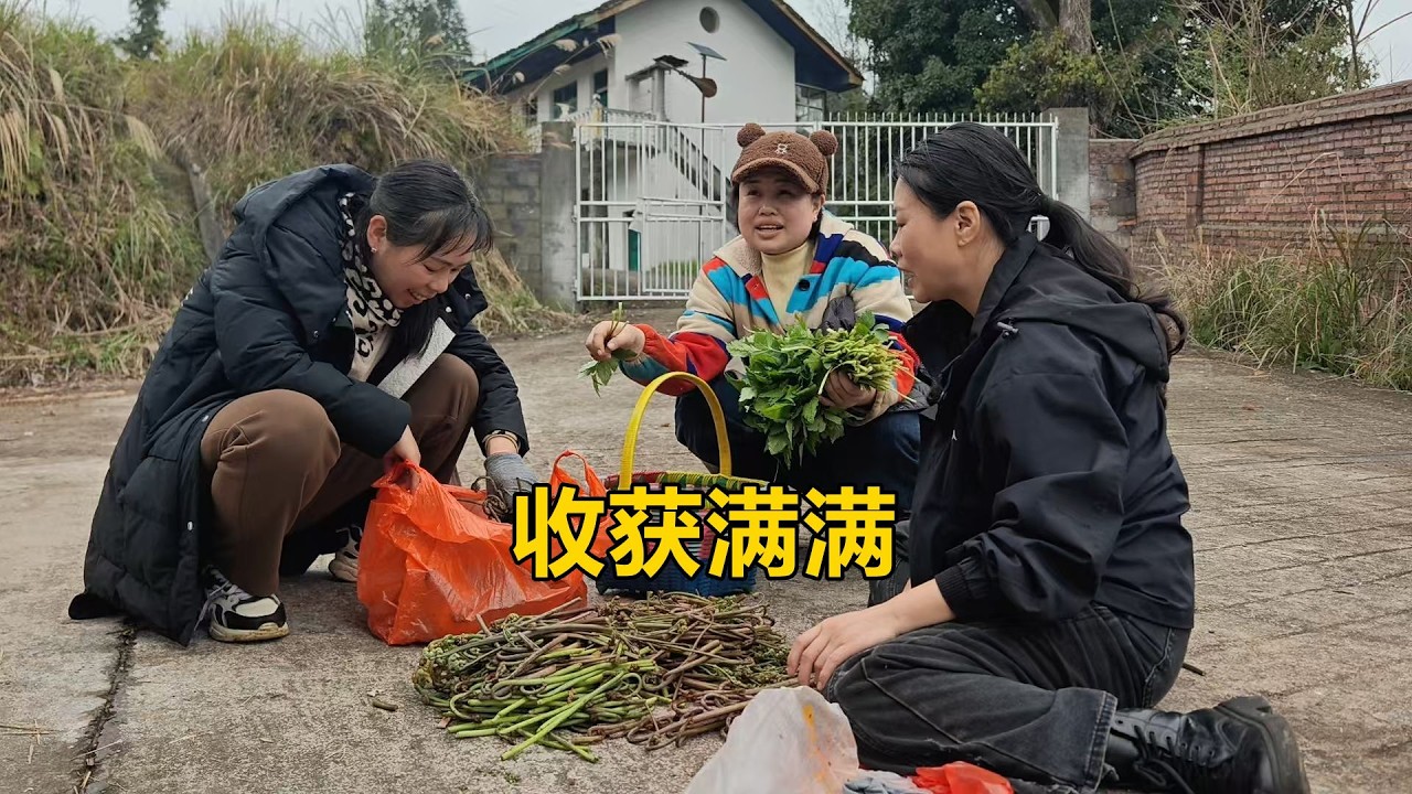 山上蕨菜猛長，三嫂大嫂跟朋友上山去採摘，摘到手軟都不想回家【農人家三嫂】