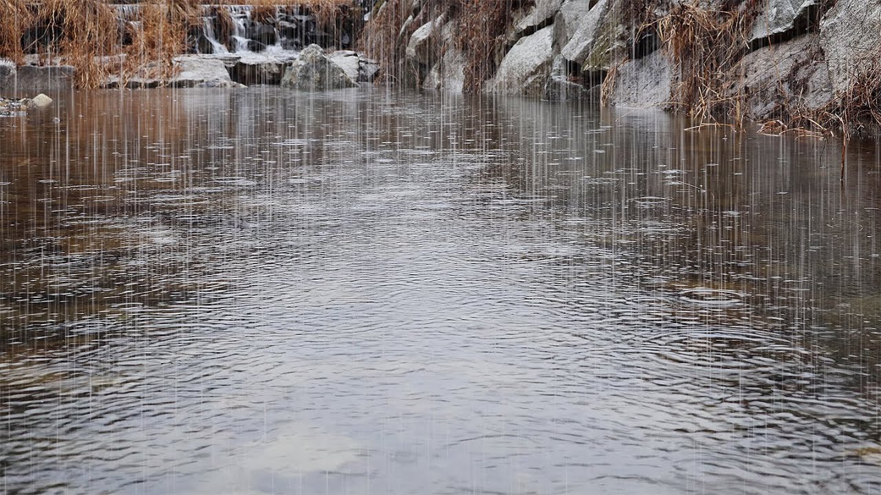 Sleep Journey with Comforting Rain Sounds | Fast Sleep, Tinnitus, Stress, Mental Stability, Rest