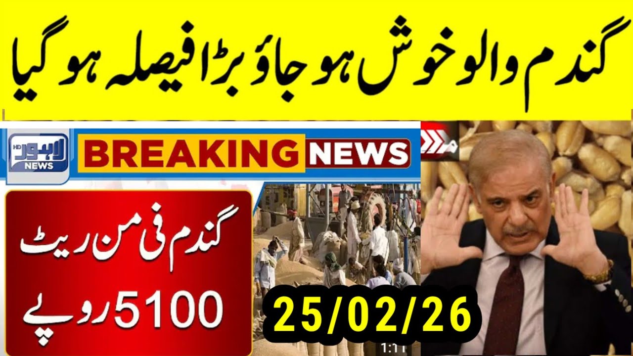 Today Wheat price in punjab/گندم کا ریٹ 2025/munji makki till sarso/Galla mandi rates today #punjab