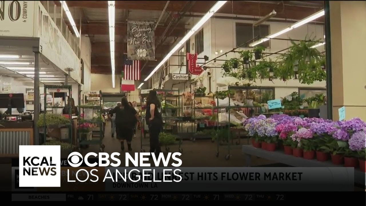 Downtown LA businesses impacted by immigration enforcement