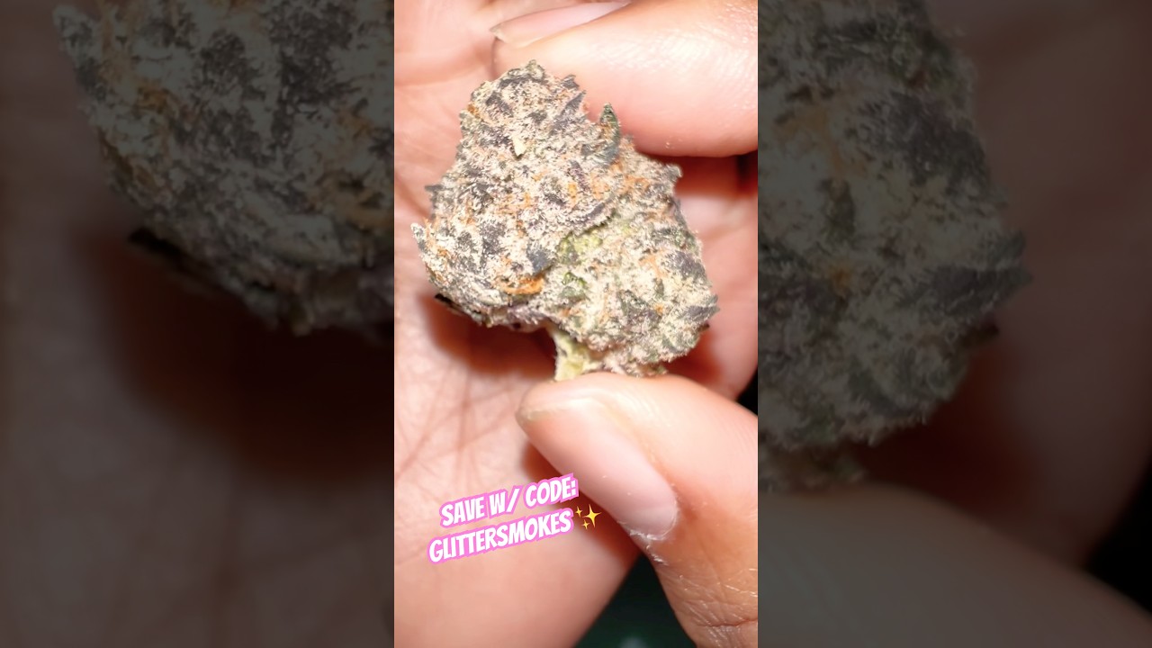 Pink Lemonade from #shophellomary #fiveleafwellness #cannacured #subscribe #freethatplant #420