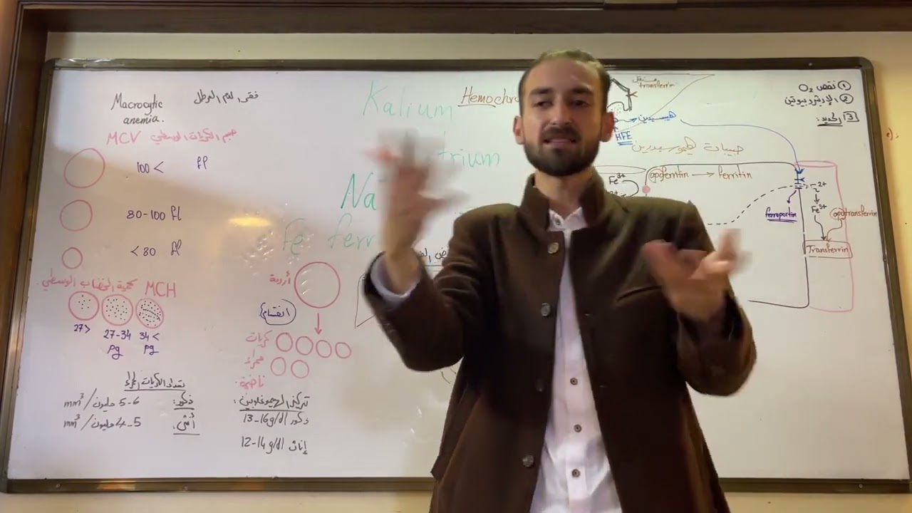 استقلاب الحديد 2