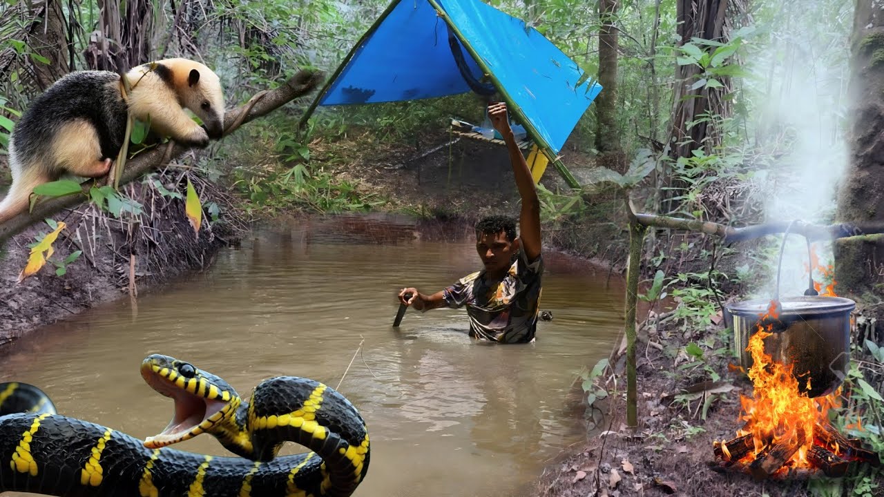 AVENTURA SELVAGEM: COBRA atravessa o RIO e filhote de TAMANDUÁ é ABANDONADO no acampamento