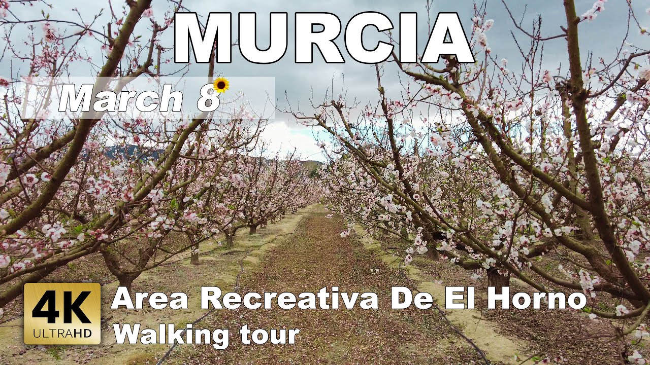 Murcia (Cieza) - Area Recreativa De El Horno Spain - Walking tour [4k 60 fps]