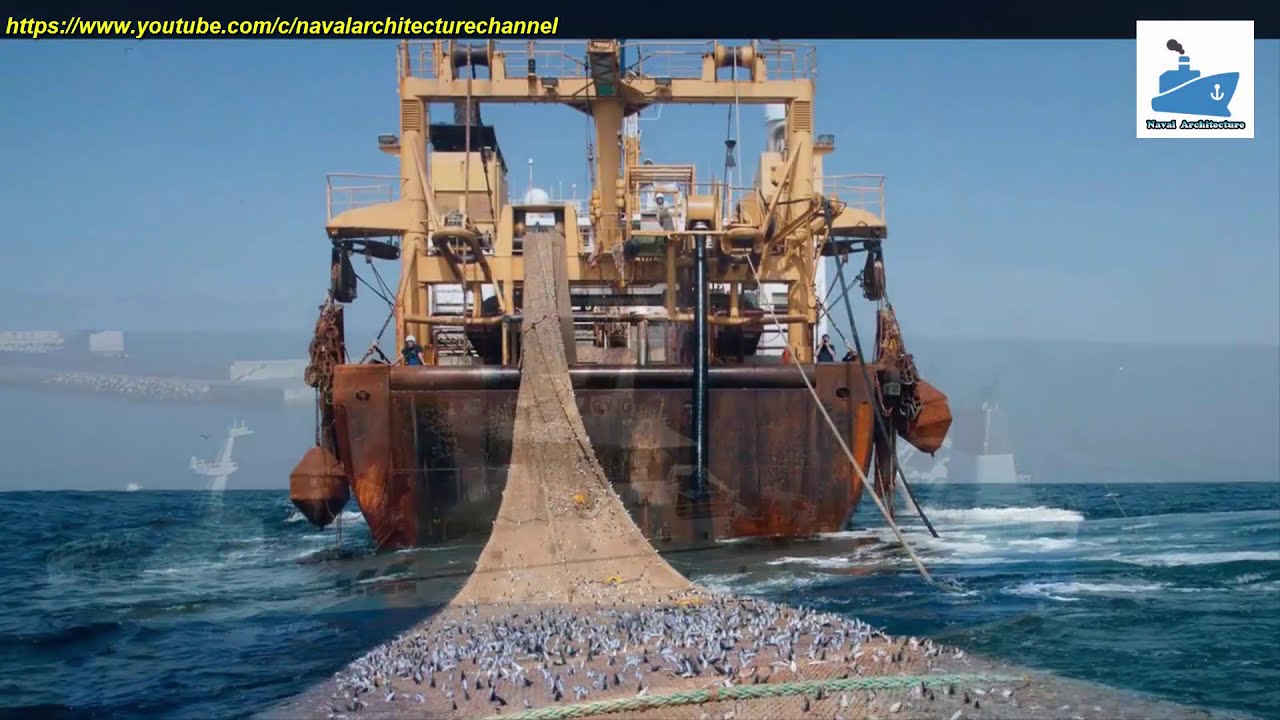 Types of Fishing Vessels - Naval Architecture