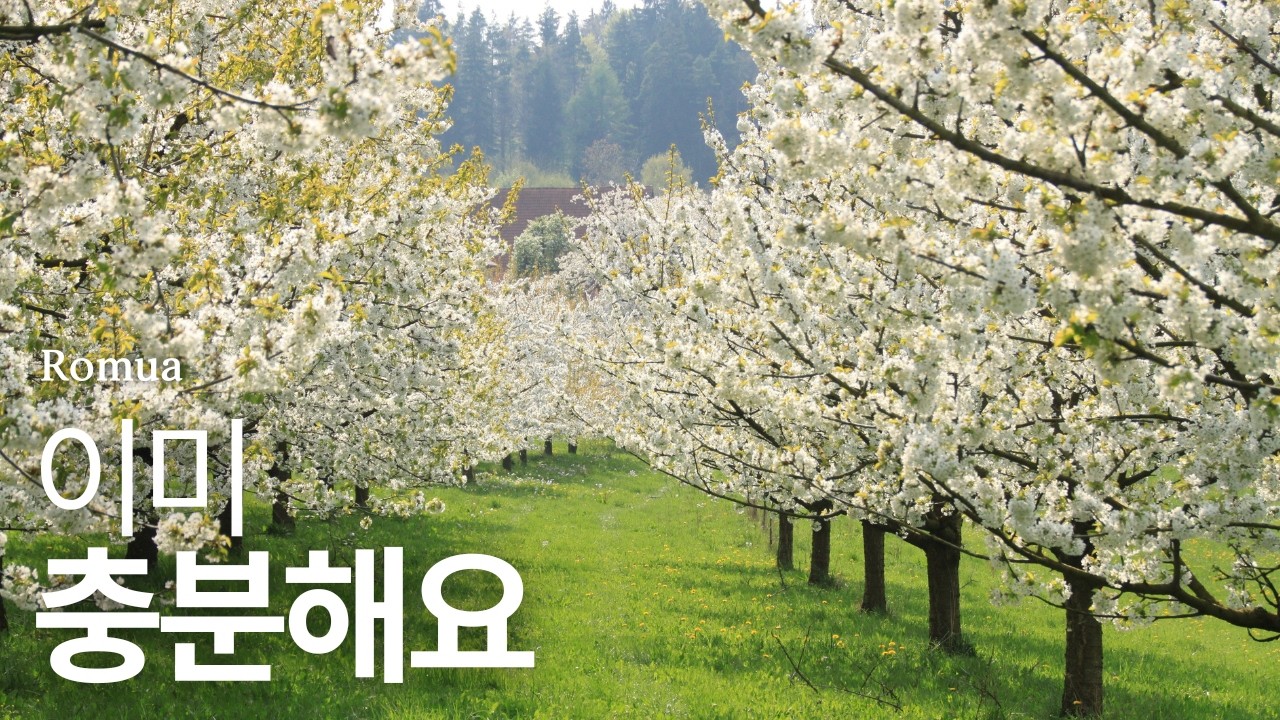 𝙿𝚕𝚊𝚢𝚕𝚒𝚜𝚝 : 꽃길 따라 기분 좋은 산책 🎵마음이 따스해지는 힐링 피아노 · 스트레스 해소 · 편안한 휴식 · 잔잔한 카페음악 | Relaxing Piano