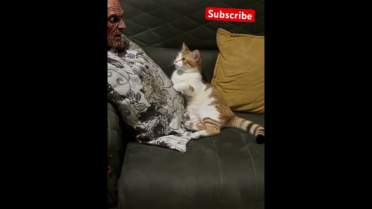 Cat&rsquo;s Shock 😱 #FunnyCat #ScaryCat #CatVsMonster #CatReaction #SurprisedCat #MonsterEncounter #ai