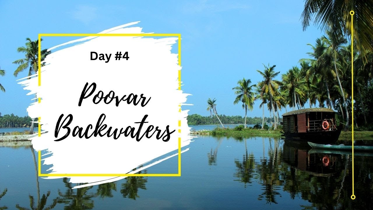 Boating at Backwaters || Poovar Backwaters || Vlog 4