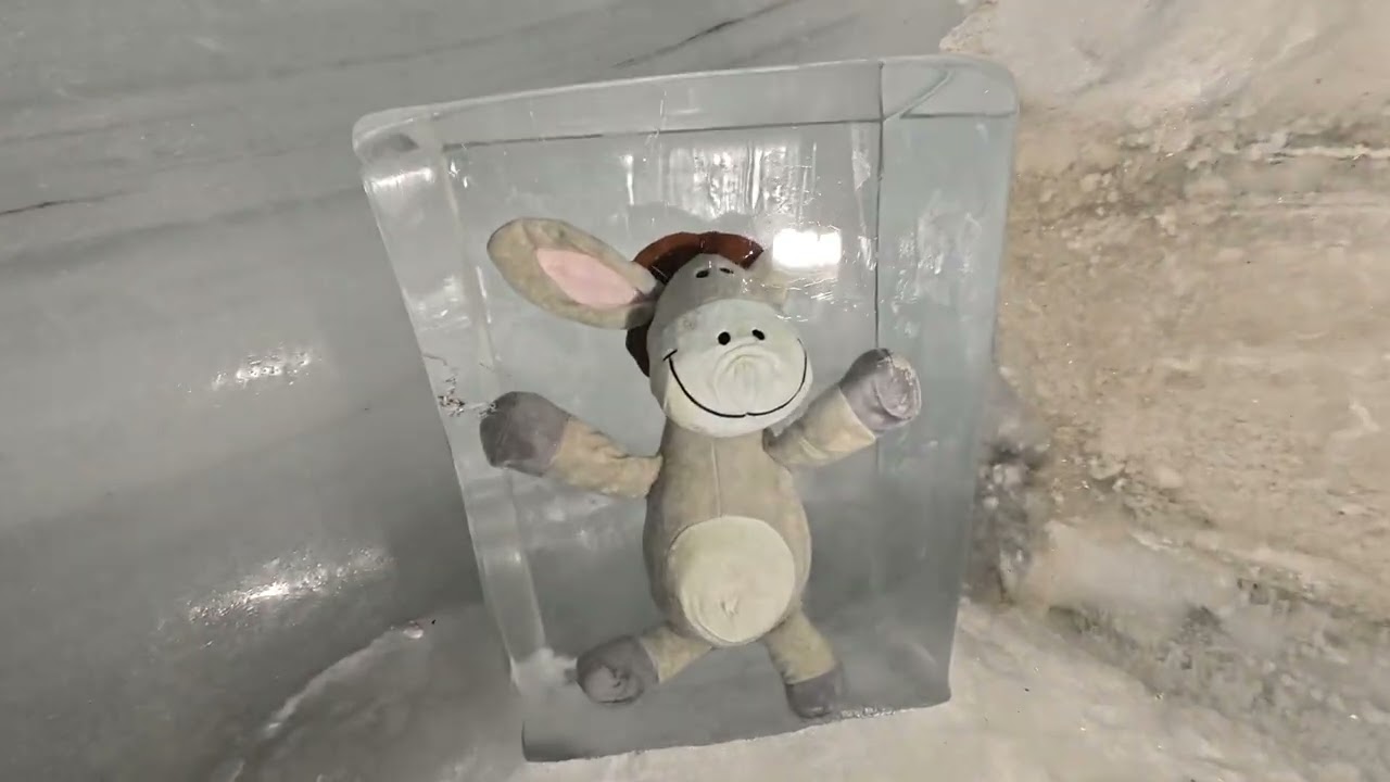 Titlis 29 Dez 2026