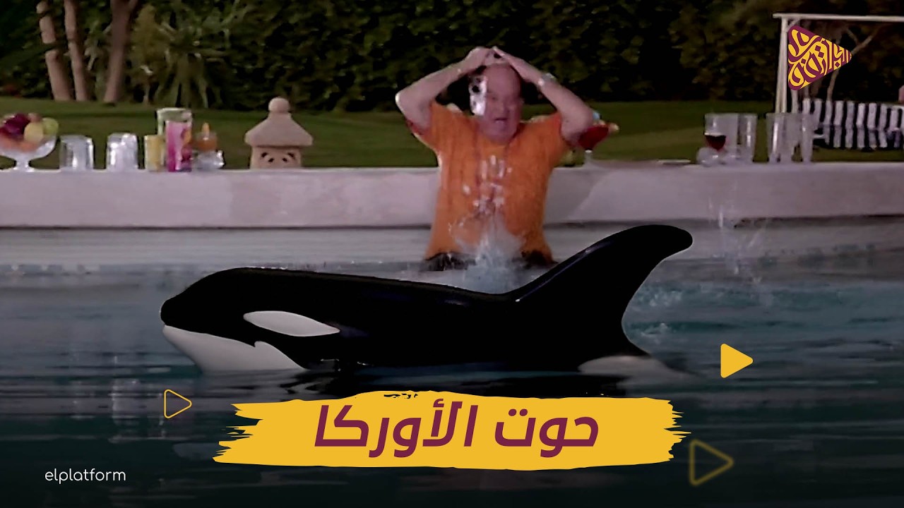 البلاتفورم | حقيقة الحوت القاتل