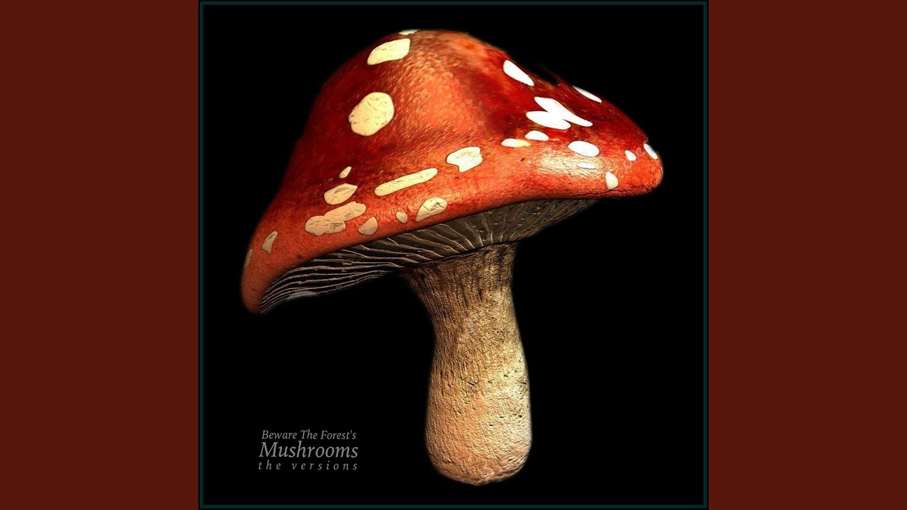 Beware the Forest's Mushrooms (From 