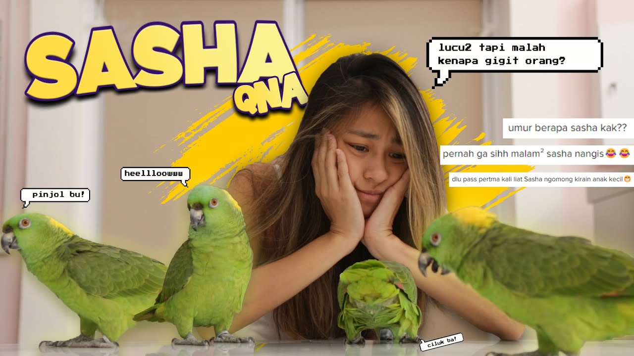 Jacqueline's Sanctuary | QNA Sasha Dari Netizen Budiman..