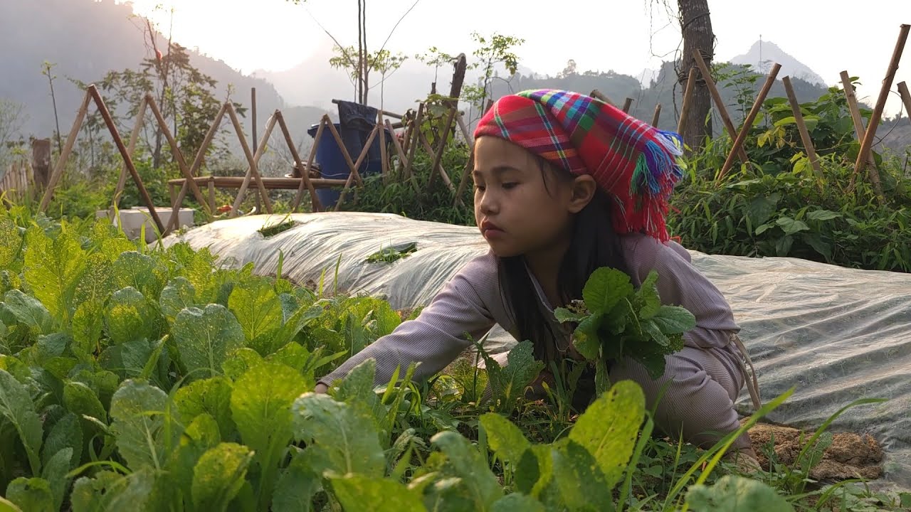 Full video - Poor 8 year old hard working girl gardening, harvesting, trading
