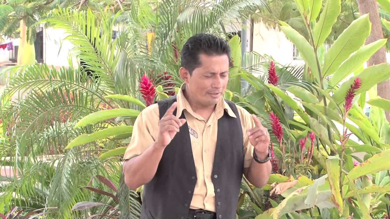 EL DAN DAN   PROTESTA DE AMORexito original video official