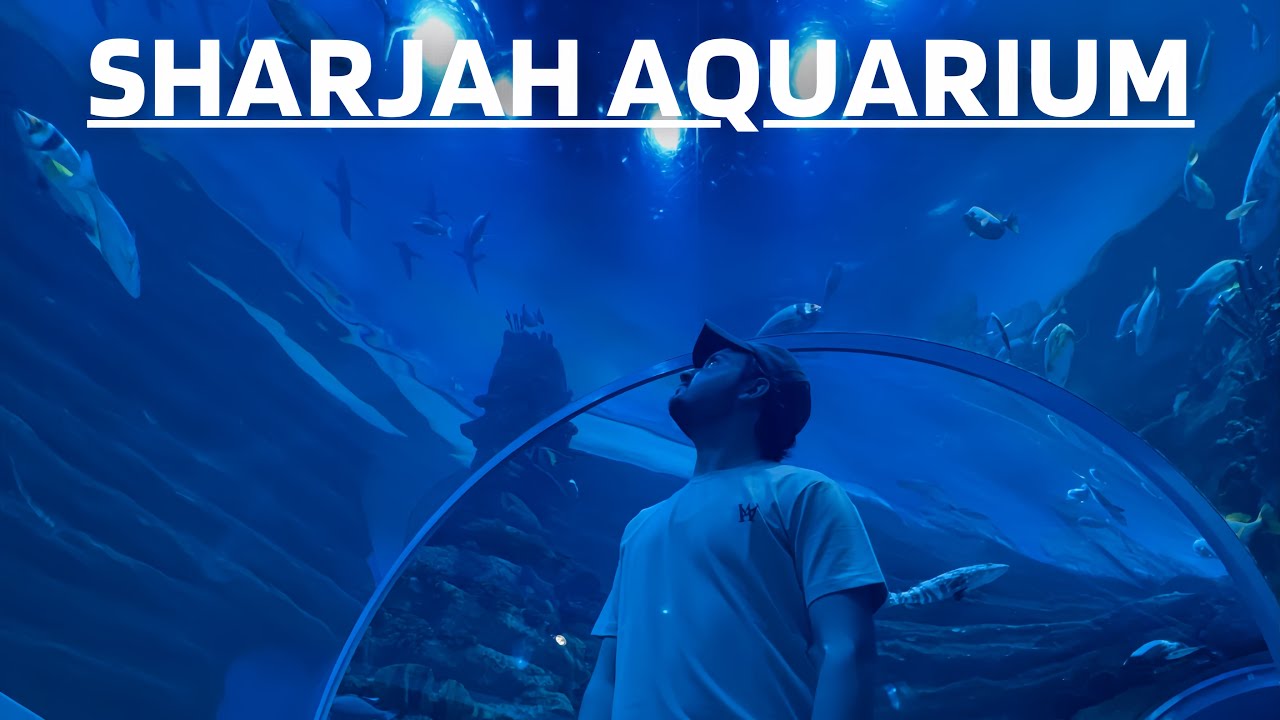 Is Sharjah Aquarium Worth It? (Honest Review 2025) | Saeed Vlogs