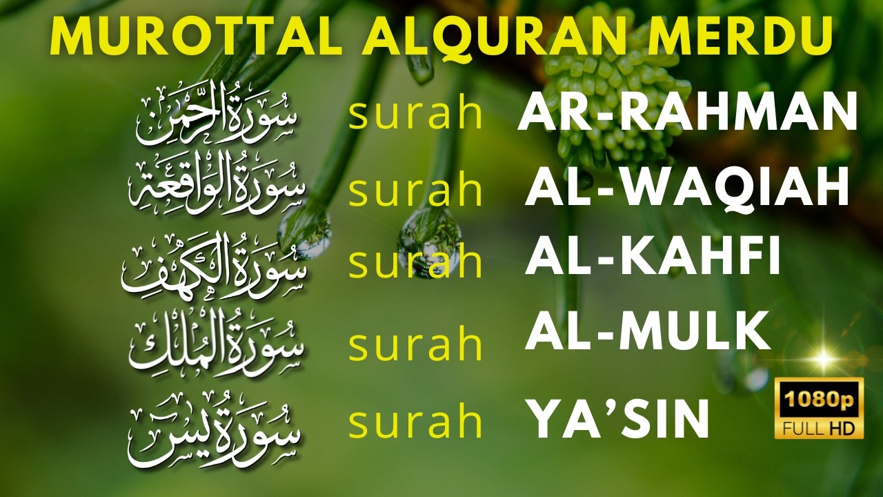 Bacaan Alquran Merdu | Surat Al Waqiah, Al Kahfi, Ar Rahman, Al Mulk, Yasin, Buat Hati Lebih tenang