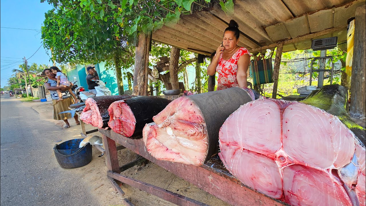 Unique! Aesthetic Village Road's Very Pleasant Biggest Fish Market