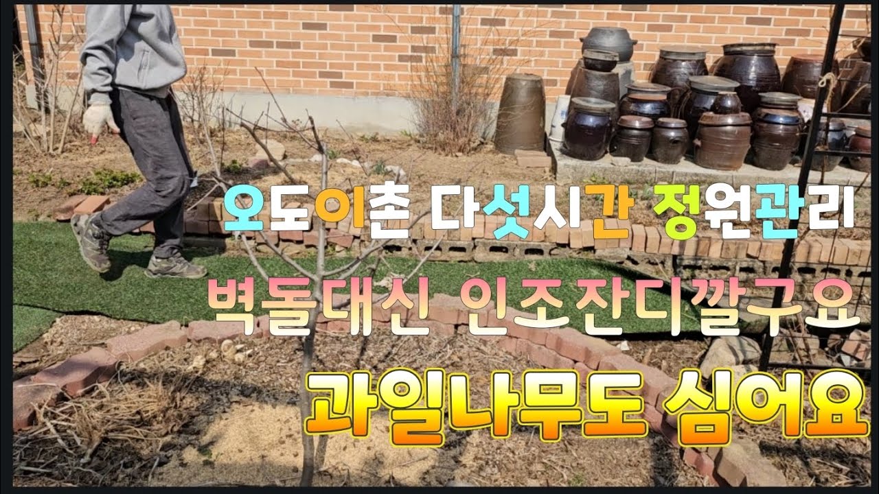 오도이촌 다섯시간 정원관리