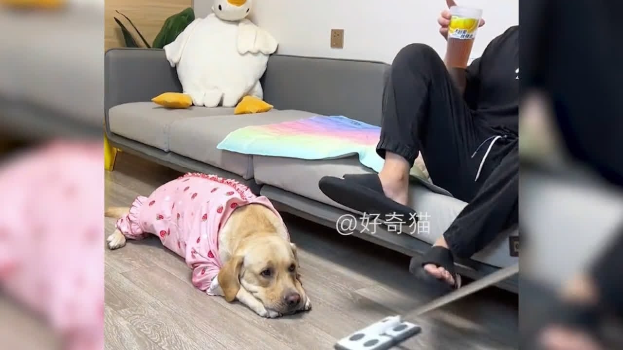 盘点那些不干人事的老六
