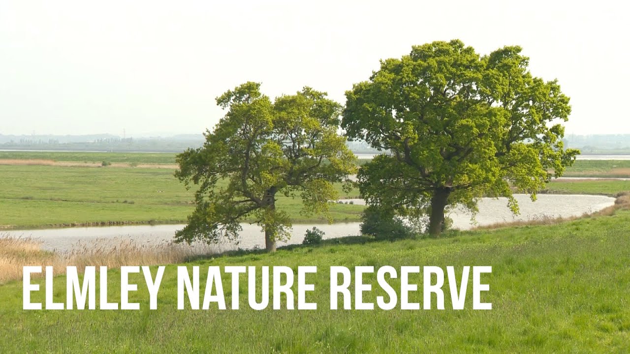 Elmley Nature Reserve