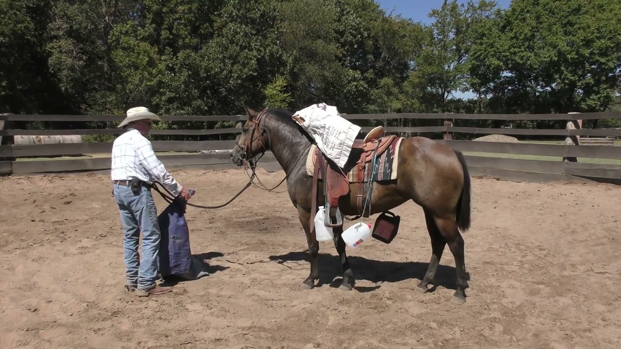 Extreme Desensitizing a Nervous Anxious Mare