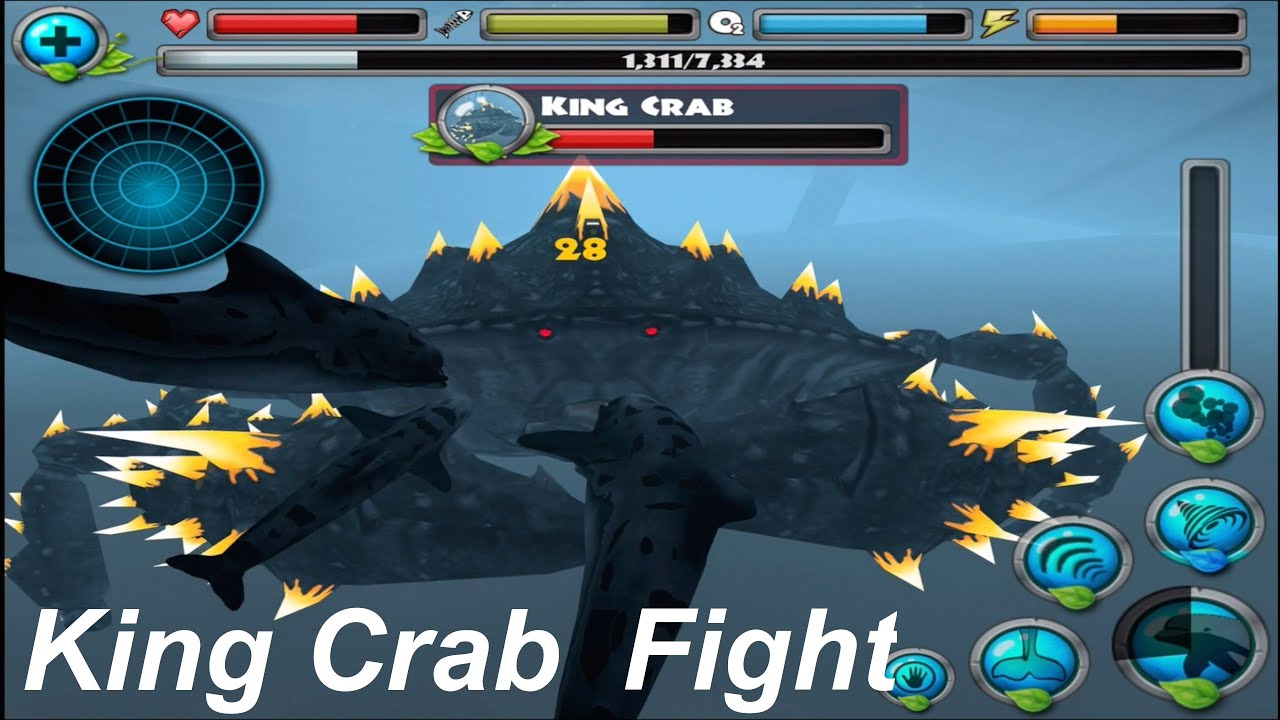 Dolphin Simulator- Part 3 - KING CRAB FIGHT - Compatible with iPhone, iPad, and iPod touch.