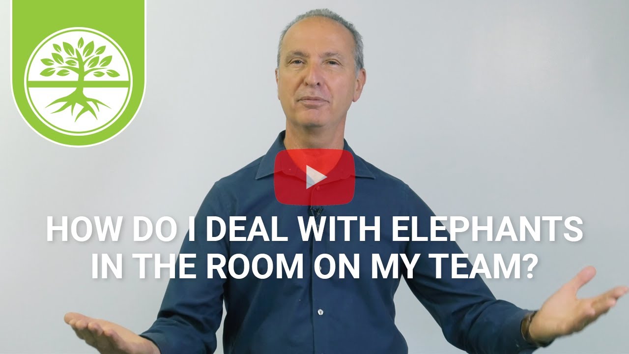 How Do I Deal With Elephants in the Room on My Team? | Pete Scazzero