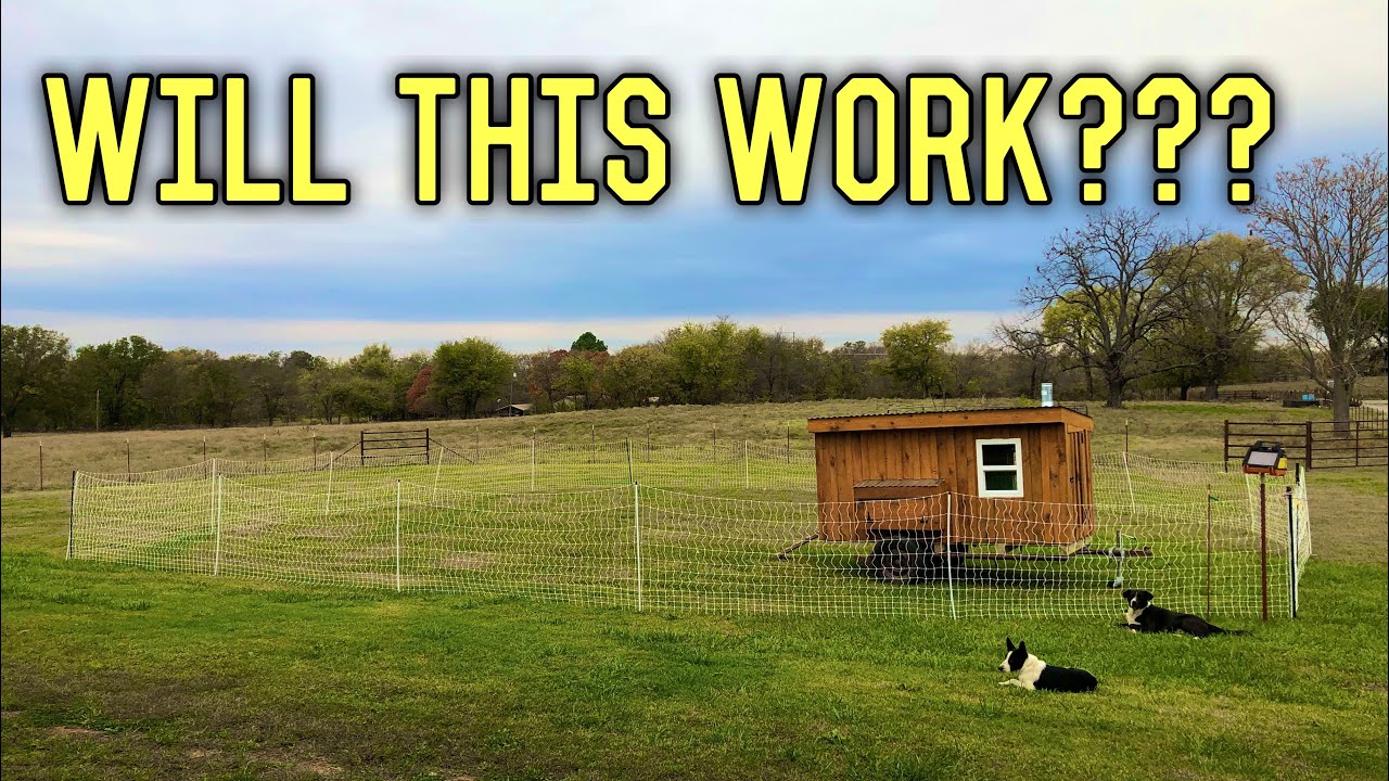 PREDATOR Gets Shocked | Premier 1 Fence