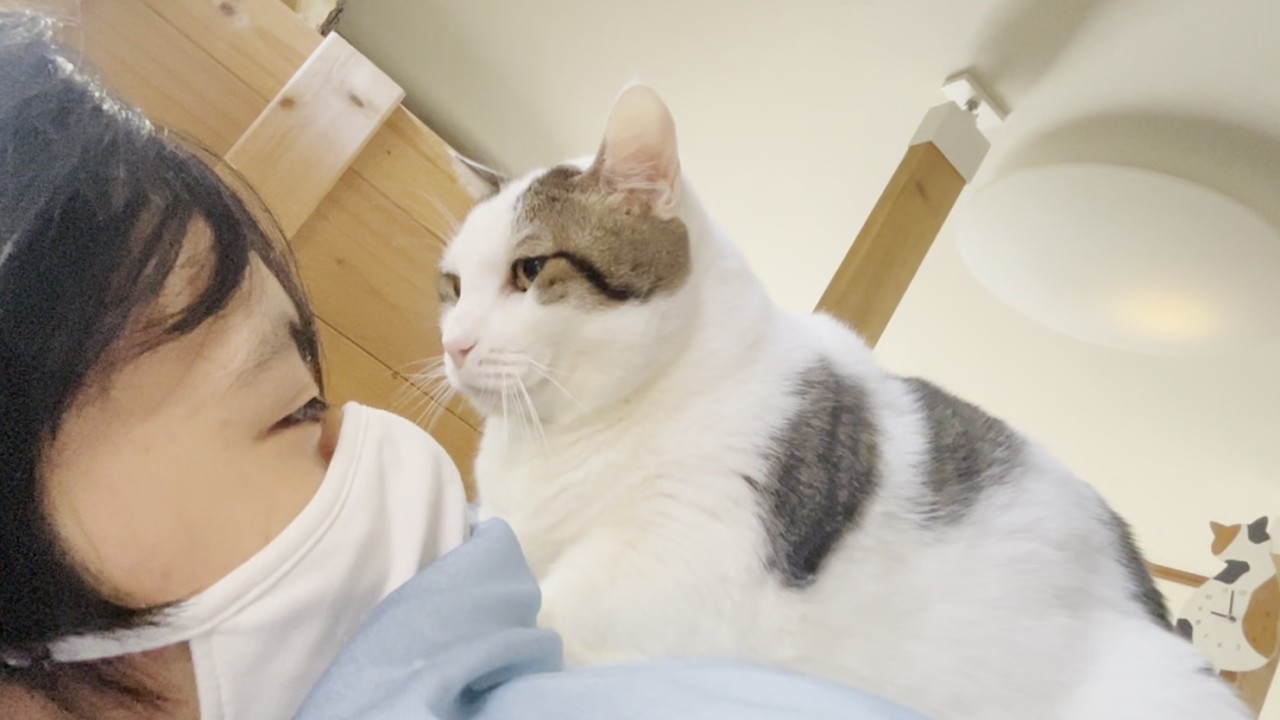 息子が好きすぎて上に乗る猫