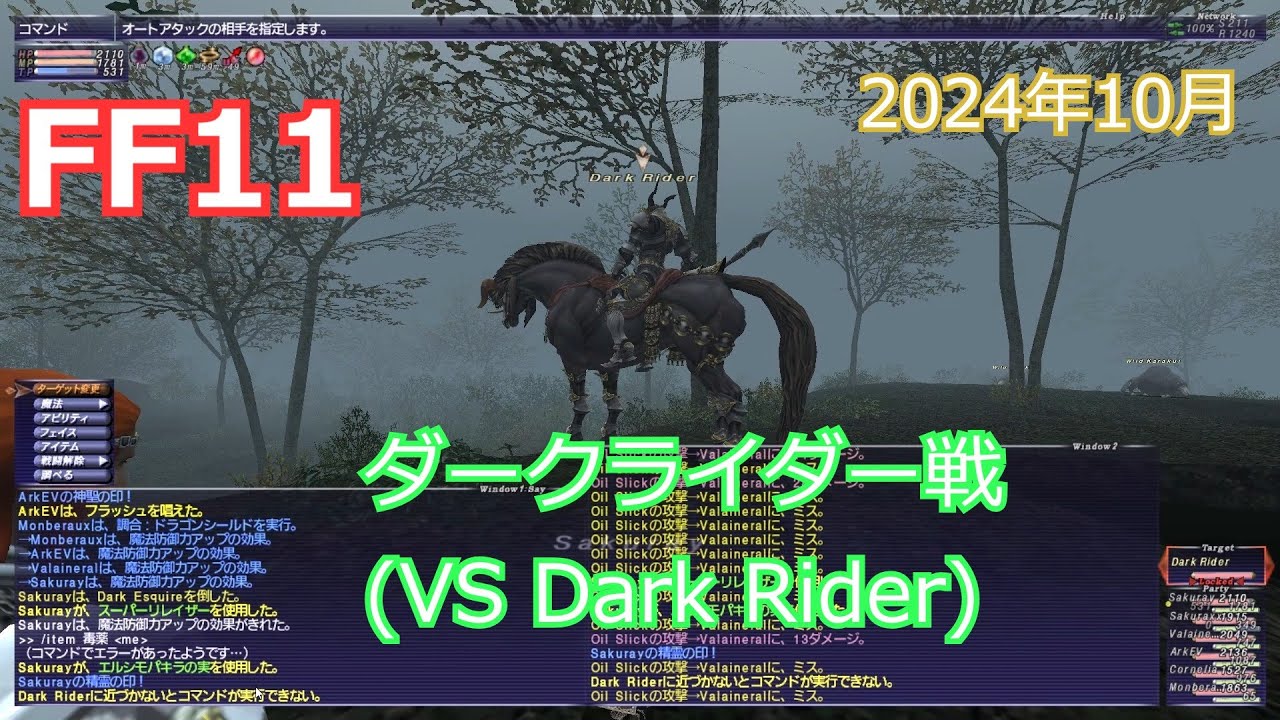 【FF11】ダークライダー戦（VS Dark Rider）【超レアNM】
