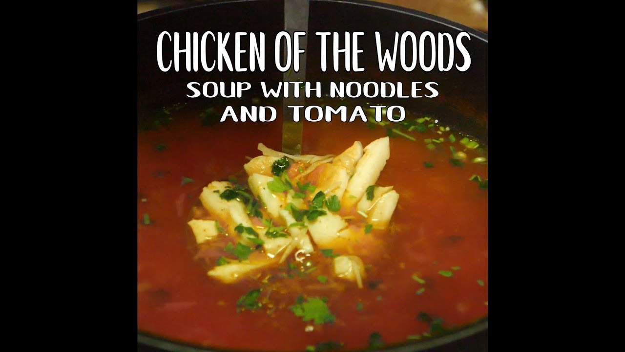 Chicken of the Woods mushroom soup recipe | Gustomondo