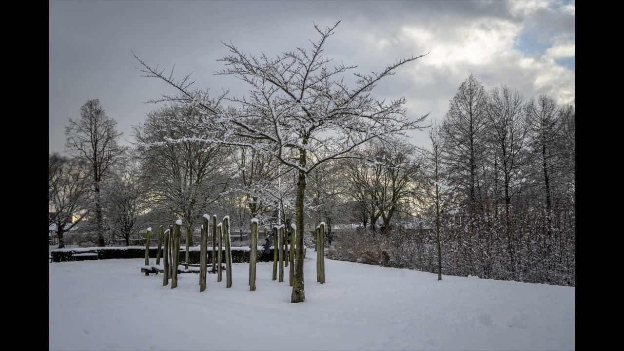 Winter in het  Hortensiapark   Helmond Oost